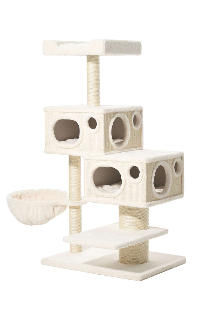 Nobby Kratzbaum Binka